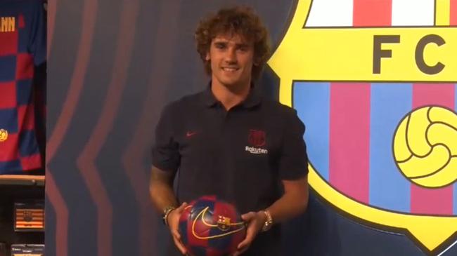 政府画册设计、LOGO设计